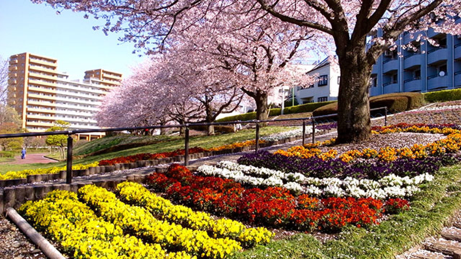 🏞️ 카니가사와 공원